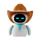 Chapéu Eilik Cowboy Hat 2 Peças - BR Metaverso