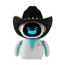 Chapéu Eilik Cowboy Hat 2 Peças - BR Metaverso