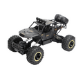 RC 4x4 de Controle Remoto Premium Idade 3 Anos - BR Metaverso